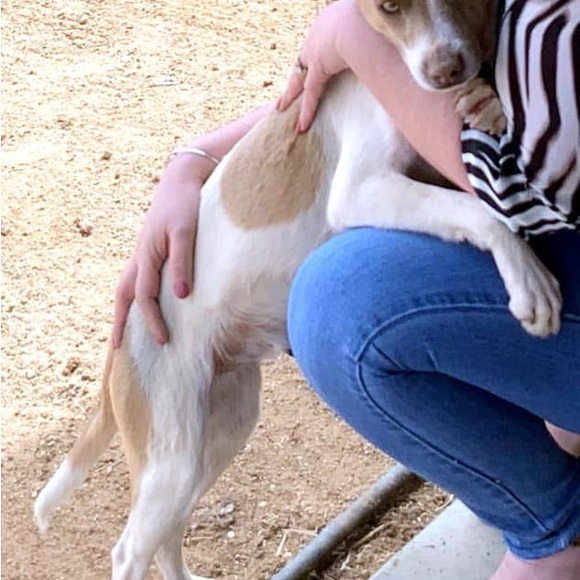 Meet your Posher, Tania - Picture 4 of 5